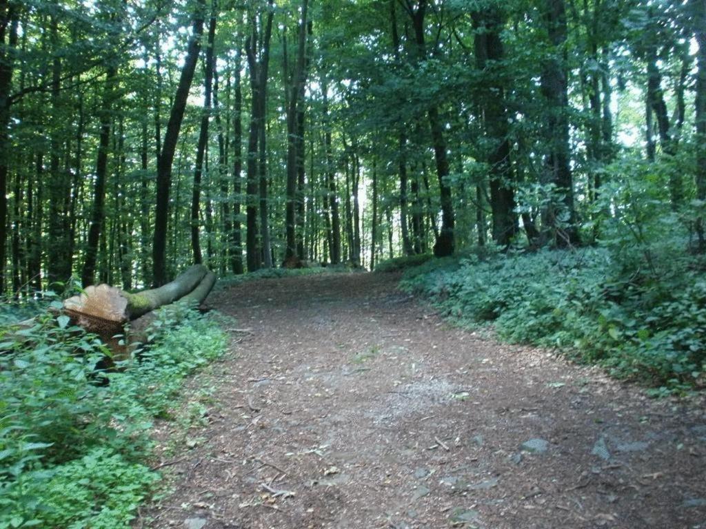 Ferienwohnung Irmgard Und Ferienwohnung Gerlinde Waldbrunn  Eksteriør bilde